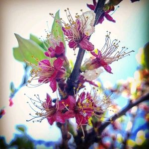 Meet your Posher, Aida